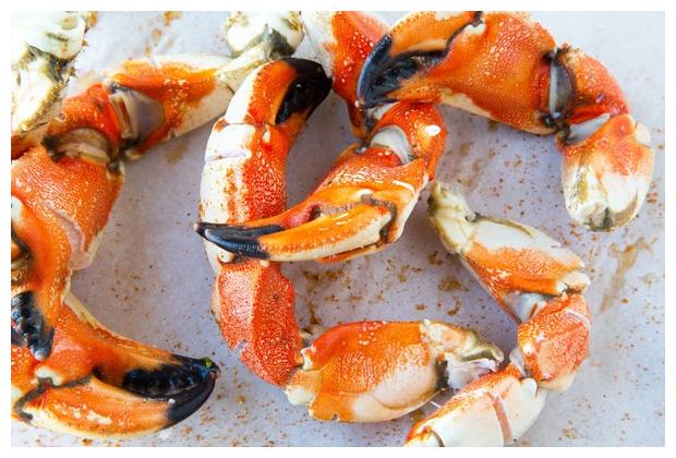 Pince de crabe de Jonas froide avec moutarde Crab Shack